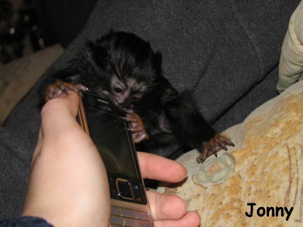 Tana si hraje s mobilem